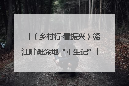 （乡村行·看振兴）赣江畔滩涂地“重生记”