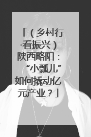 （乡村行·看振兴）陕西略阳：“小瓢儿”如何撬动亿元产业？