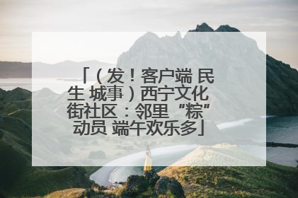 （发！客户端 民生 城事）西宁文化街社区：邻里“粽”动员 端午欢乐多