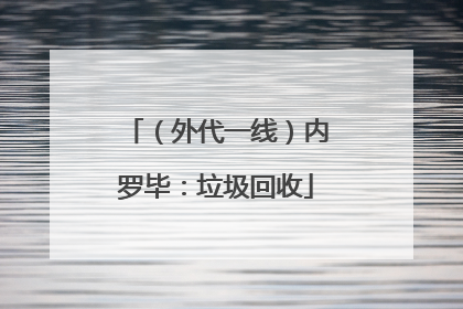 （外代一线）内罗毕：垃圾回收