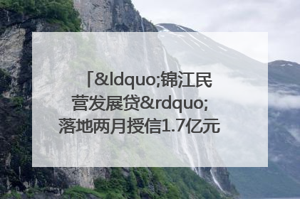 “锦江民营发展贷”落地两月授信1.7亿元，惠及118家民企
