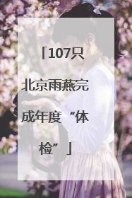 107只北京雨燕完成年度“体检”