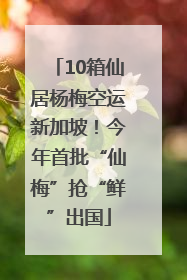 10箱仙居杨梅空运新加坡！今年首批“仙梅”抢“鲜”出国