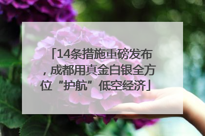 14条措施重磅发布，成都用真金白银全方位“护航”低空经济