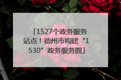 1527个政务服务站点！德州市构建“1530”政务服务圈