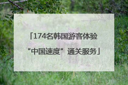174名韩国游客体验“中国速度”通关服务