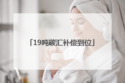 19吨碳汇补偿到位