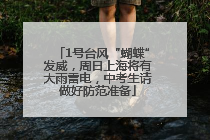 1号台风“蝴蝶”发威，周日上海将有大雨雷电，中考生请做好防范准备
