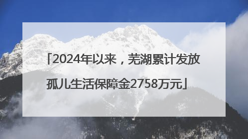 2024年以来，芜湖累计发放孤儿生活保障金2758万元