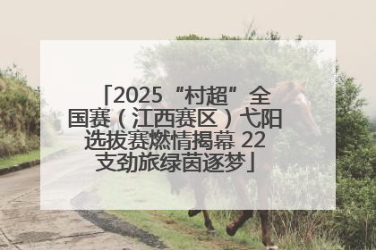 2025“村超”全国赛（江西赛区）弋阳选拔赛燃情揭幕 22支劲旅绿茵逐梦