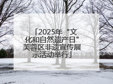 2025年“文化和自然遗产日”芙蓉区非遗宣传展示活动举行
