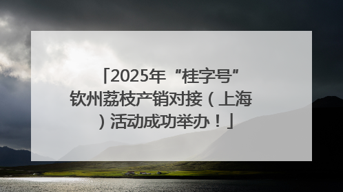 2025年“桂字号”钦州荔枝产销对接（上海）活动成功举办！