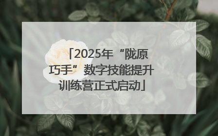 2025年“陇原巧手”数字技能提升训练营正式启动