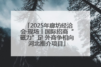 2025年廊坊经洽会·现场丨国际招商“磁力”足 外商争相向河北推介项目