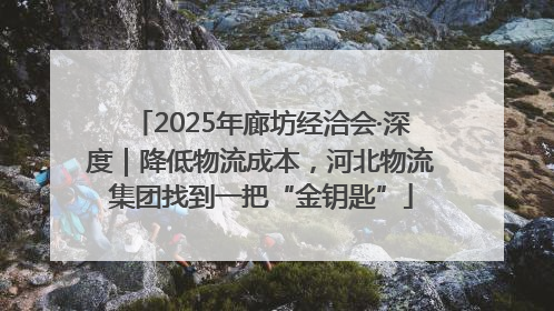 2025年廊坊经洽会·深度｜降低物流成本，河北物流集团找到一把“金钥匙”