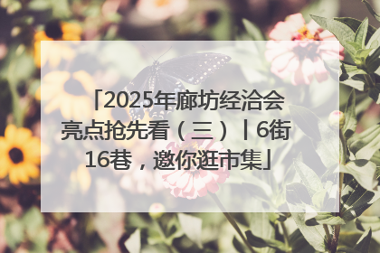 2025年廊坊经洽会亮点抢先看（三）丨6街16巷，邀你逛市集