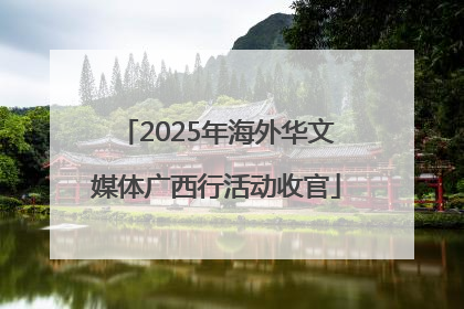 2025年海外华文媒体广西行活动收官