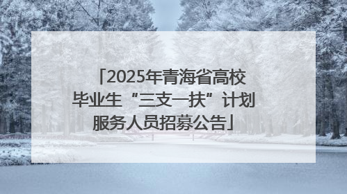 2025年青海省高校毕业生“三支一扶”计划服务人员招募公告