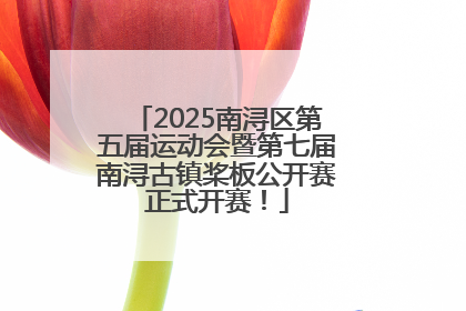 2025南浔区第五届运动会暨第七届南浔古镇桨板公开赛正式开赛！