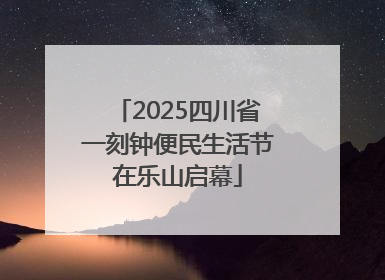 2025四川省一刻钟便民生活节在乐山启幕