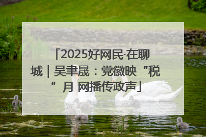 2025好网民·在聊城｜吴聿晟：党徽映“税”月 网播传政声