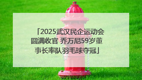 2025武汉民企运动会圆满收官 乔万尼59岁董事长率队羽毛球夺冠