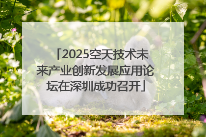 2025空天技术未来产业创新发展应用论坛在深圳成功召开