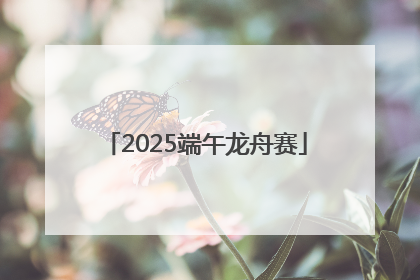 2025端午龙舟赛