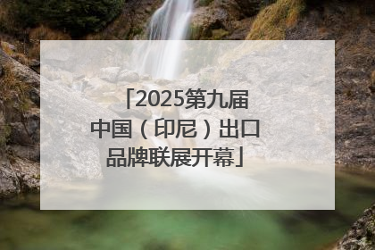 2025第九届中国（印尼）出口品牌联展开幕