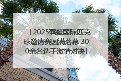 2025鹤壁国际匹克球邀请赛圆满落幕 300余名选手激情对决