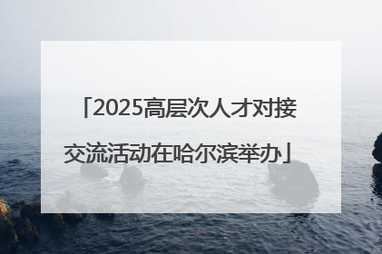 2025高层次人才对接交流活动在哈尔滨举办