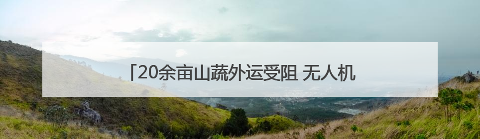20余亩山蔬外运受阻 无人机极限飞行8小时转运6吨蔬菜