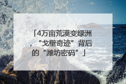4万亩荒漠变绿洲，“戈壁奇迹”背后的“潍坊密码”