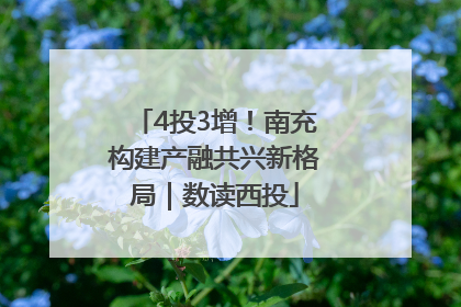 4投3增！南充构建产融共兴新格局｜数读西投