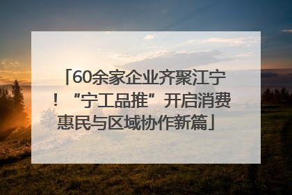 60余家企业齐聚江宁！“宁工品推”开启消费惠民与区域协作新篇