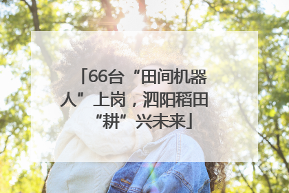 66台“田间机器人”上岗，泗阳稻田“耕”兴未来