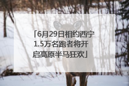 6月29日相约西宁 1.5万名跑者将开启高原半马狂欢