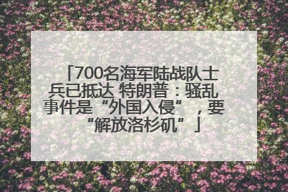 700名海军陆战队士兵已抵达 特朗普：骚乱事件是“外国入侵”，要“解放洛杉矶”