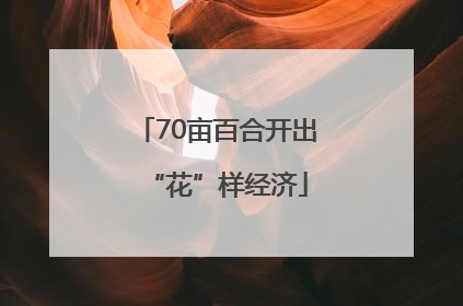 70亩百合开出“花”样经济
