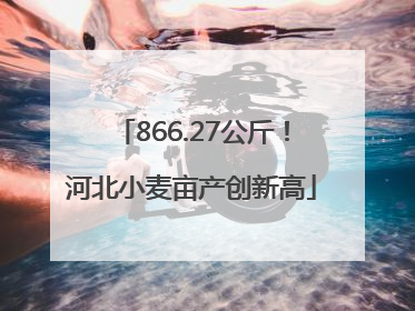 866.27公斤！河北小麦亩产创新高