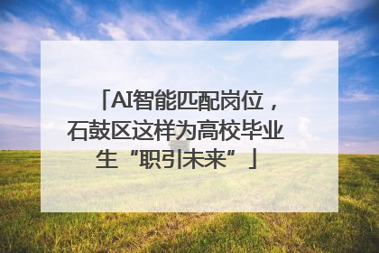 AI智能匹配岗位，石鼓区这样为高校毕业生“职引未来”