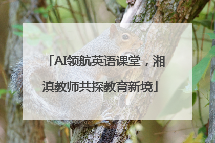 AI领航英语课堂，湘滇教师共探教育新境