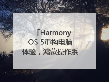 HarmonyOS 5重构电脑体验，鸿蒙操作系统在电脑端首次亮相丨新经济观察