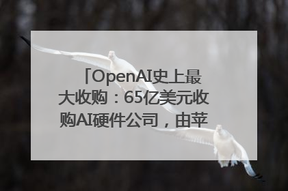 OpenAI史上最大收购：65亿美元收购AI硬件公司，由苹果前设计总监创办