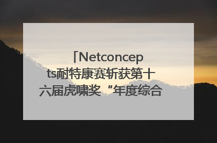 Netconcepts耐特康赛斩获第十六届虎啸奖“年度综合服务商”大奖