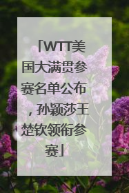 WTT美国大满贯参赛名单公布，孙颖莎王楚钦领衔参赛