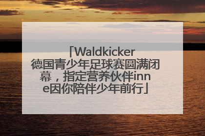 Waldkicker德国青少年足球赛圆满闭幕，指定营养伙伴inne因你陪伴少年前行